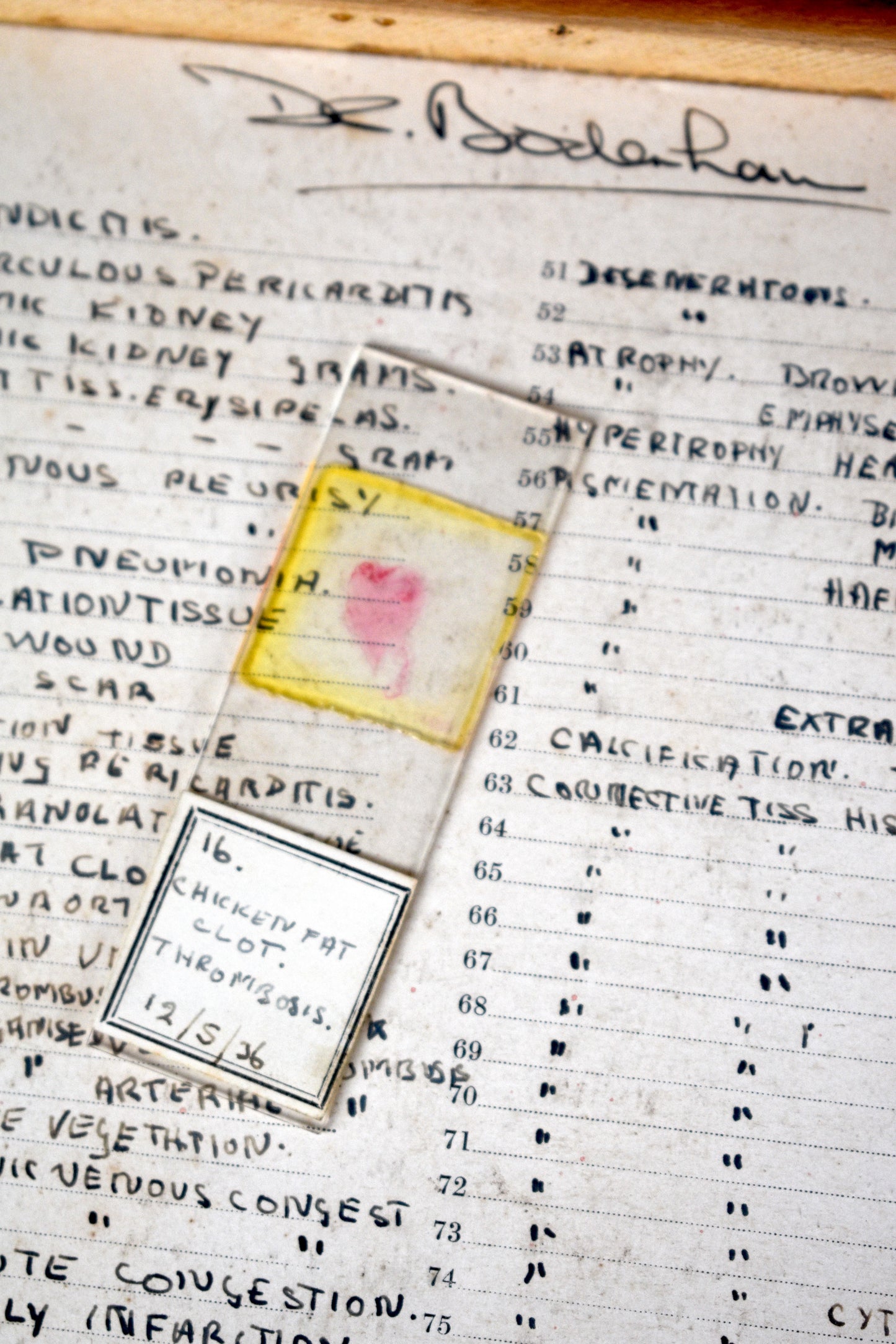 Doctor Bodenham's Pathology Slides