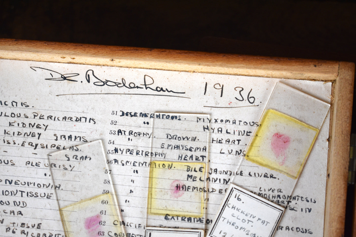 Doctor Bodenham's Pathology Slides