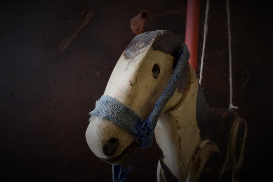 Florrie's Mule